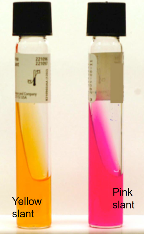 <p>What is the name of this test?</p>