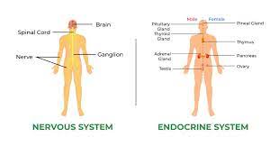 <p>How do multicellular organisms communicate?</p>