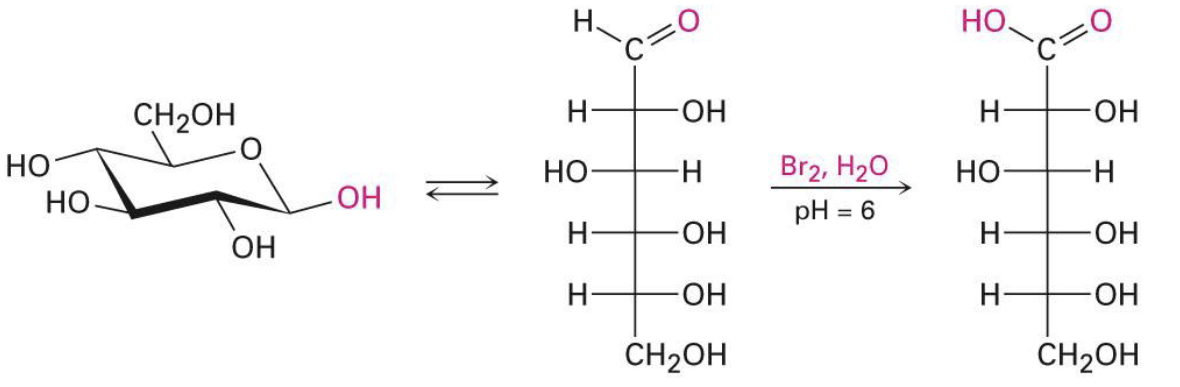 <p>oxidation</p>