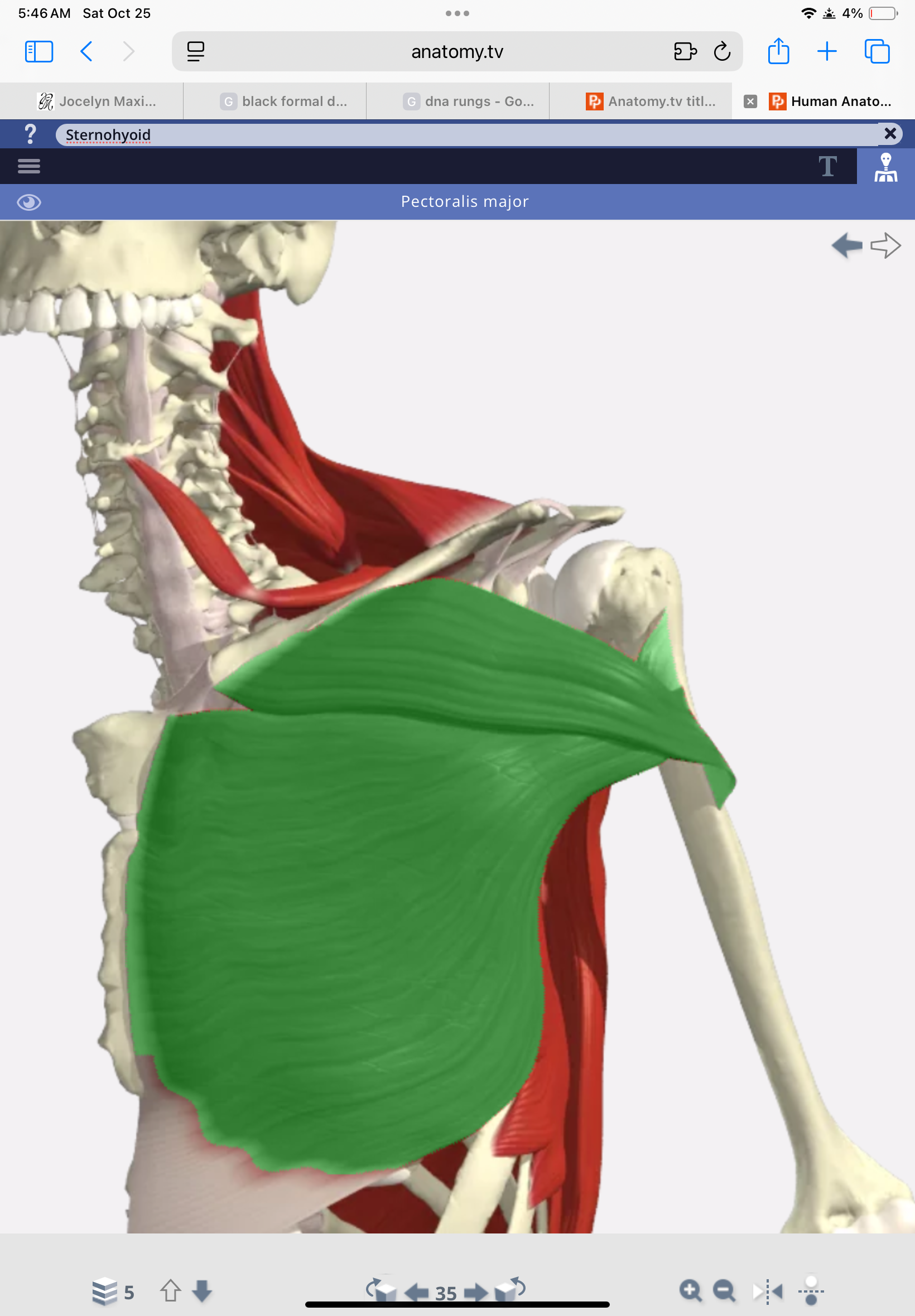 knowt flashcard image