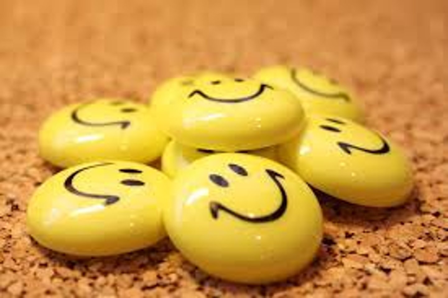 <p>happiness</p>