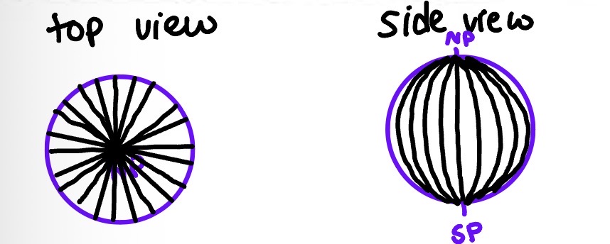 <p>Top View: Lines coming out from the North Pole straight lines from every different direction, pizza looking</p><p>Side View: Rounded lines coming from North Pole to South Pole straight line in middle</p>