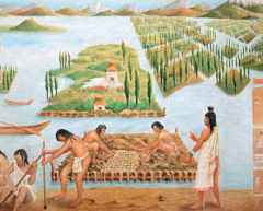 made chinampas