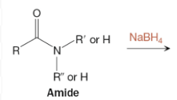 <p>What is the product of a reaction between an amide and NaBH4?</p>