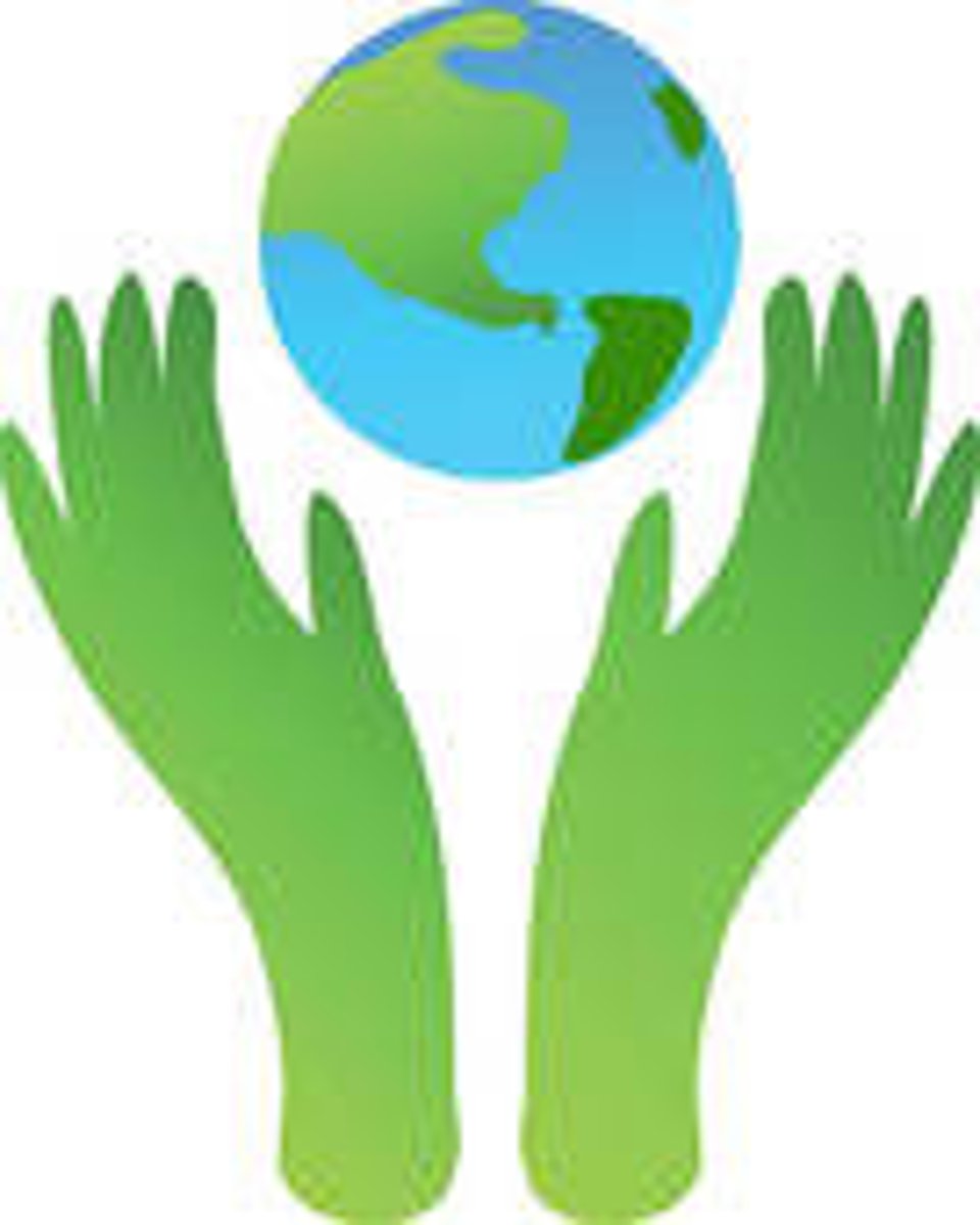 <p>to save the planet</p>