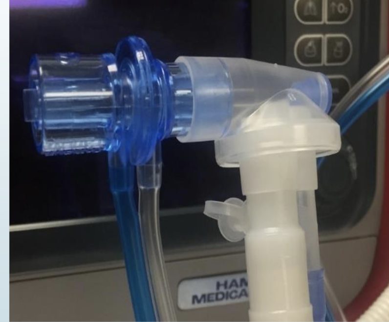 <p>hamilton G5,C1, T1</p>