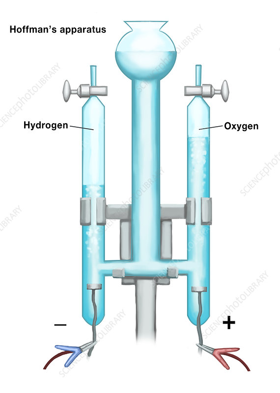 <p>What is the left side called?</p>
