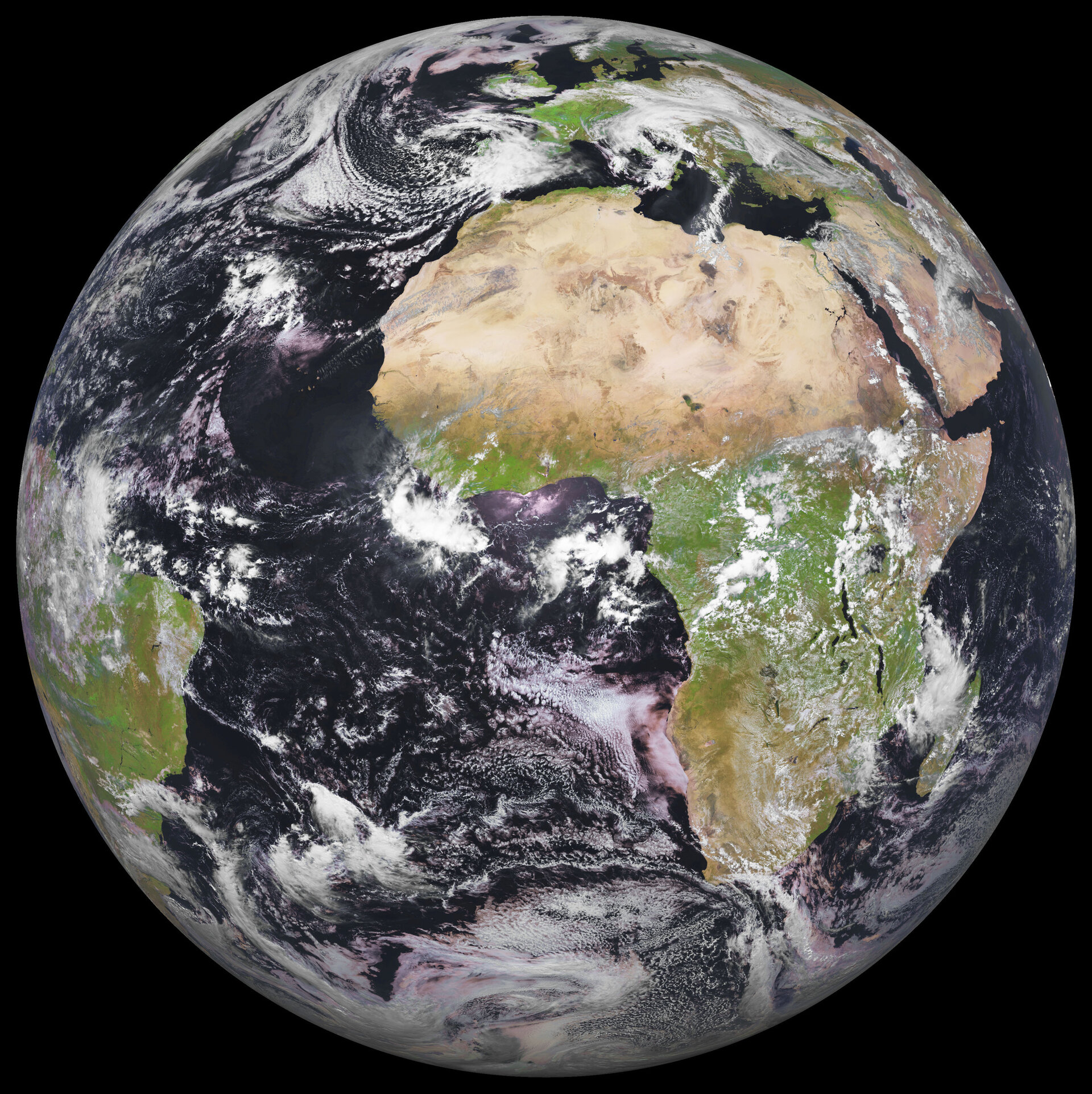 <p>Supports life due to its thick atmosphere with oxygen and abundant water.</p>