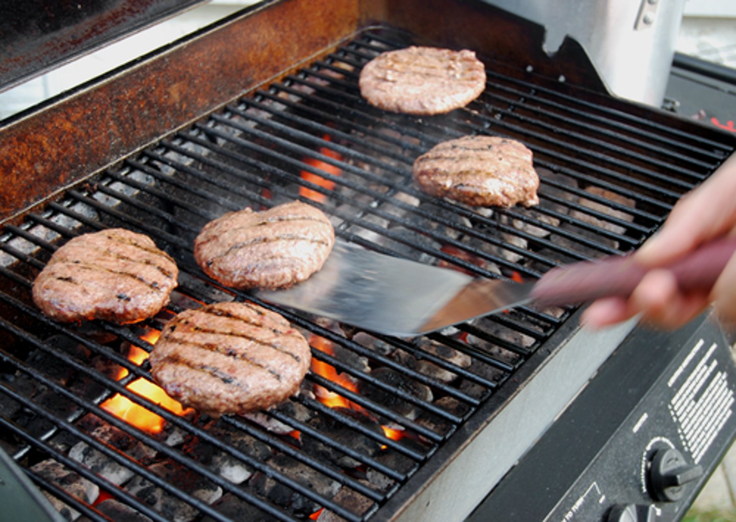 <p>to turn food over on the grill to cook both sides.</p><p>While the sausages were cooking, I used a spatula to _________ so they wouldn’t burn on one side.</p>