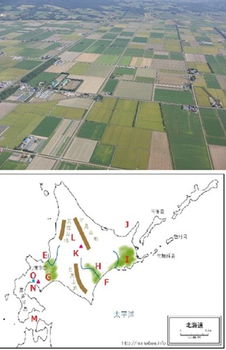<p>ova, düz arazi</p><p>広い平野があります。</p><p>Hiroi heiya ga arimasu.</p><p>Geniş bir ova var.</p><p>平野でキャンプをします。</p><p>Heiya de kyanpu o shimasu.</p><p>Ovada kamp yapıyoruz.</p>