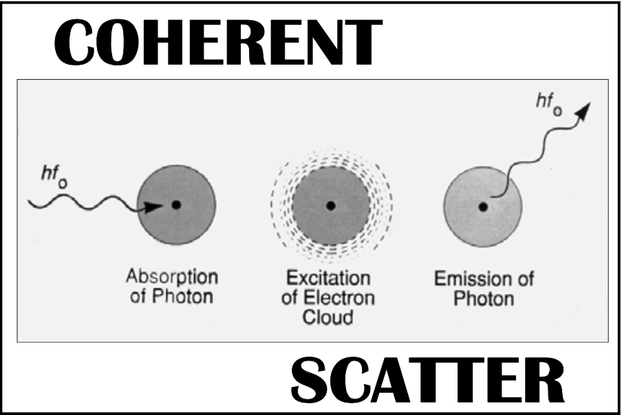 <p><span>What is the ONLY interaction between x-ray and matter that does not cause ionization?&nbsp;</span></p><ul><li><p><span><strong>[...]</strong></span></p></li></ul><p></p>