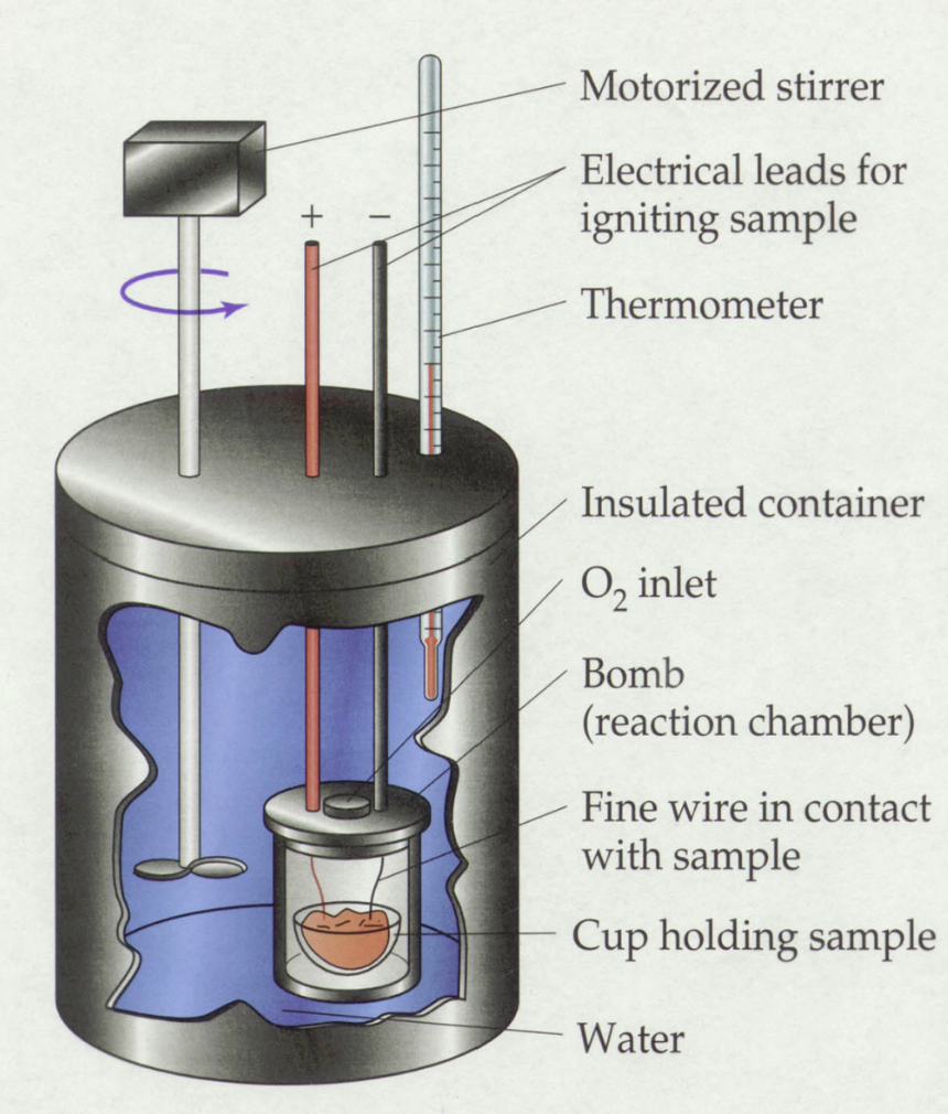 <p>Works according to the principles of direct calorimetry (i.e., directly measures the amount of energy stored in chemical bonds of foods).</p><ol><li><p>Dry and weigh sample (~1g) and place in enclosed chamber with pure oxygen.</p></li><li><p>Sample is ignited.</p></li><li><p>Heat released is absorbed by water and measured.</p></li><li><p><strong>Heat of combustion</strong> (gross energy)</p><ol><li><p>Gross energy = maximum energy</p></li></ol></li></ol><p><u>Potential errors:</u></p><ul><li><p>Overestimates energy: we do not digest food like a calorimeter (e.g. fibre) + human error (airtight, etc.)</p></li><li><p>Doesn’t take into account the energy needed for digestion and absorption</p><ul><li><p>Digestibility!</p></li></ul></li></ul><p></p>