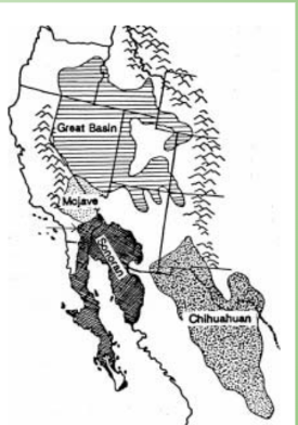 <p>Warm Desert. Located above Sonoran Desert, below Great Basin Desert. On southeast part of California. Relatively small compared to the other deserts. </p>
