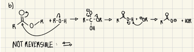 <p>a. To base hydrolysis ester bonds to break up tannin into smaller water-soluble molecules. Deprotonates caffeine so it's non-ionic and more soluble in the non-polar organic phase.</p>