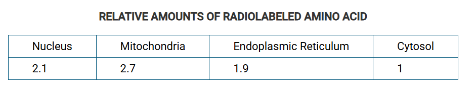 <p><span>In an experiment, researchers provided a radiolabeled amino acid to living plant cells. After one hour, the researchers determined the amount of the radiolabeled amino acid that was in each of several subcellular compartments. The results of the experiment are represented in the table. Which of the following conclusions about the radiolabeled amino acid is best supported by the results of the experiment?</span></p>