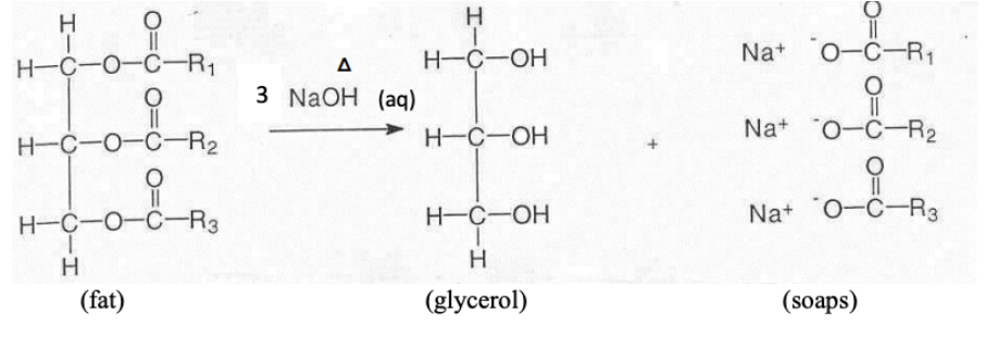 <p>Fat (ester) + Strong base (NaOH or KOH) → Glycerol + Soap (fatty acid salts)</p>