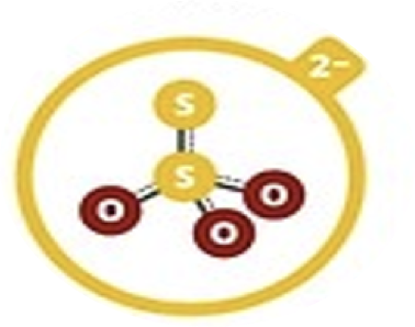 <p>Thiosulfate</p>