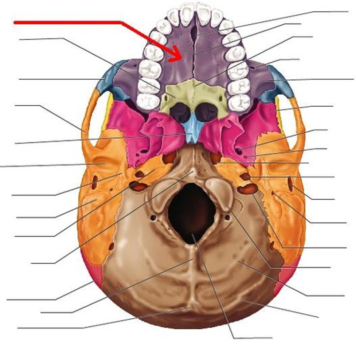 knowt flashcard image