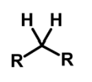 <p>Alkane</p>