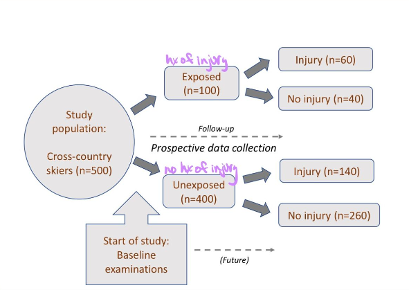 usually prospective, compares occurence of an outcome among groups that have different exposures over time, examines risk factors

cohort involves well-defined groups of people that share a characteristic/experience