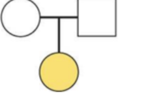 <p><span><span>The pedigree chart depicts the inheritance pattern of </span></span><span style="line-height: inherit;"><span>_____Blank</span></span><span><span>. Circles depict females and squares depict males. Colored shapes represent affected individuals (expressing a trait) and uncolored shapes are unaffected (do not express a trait).</span></span></p>