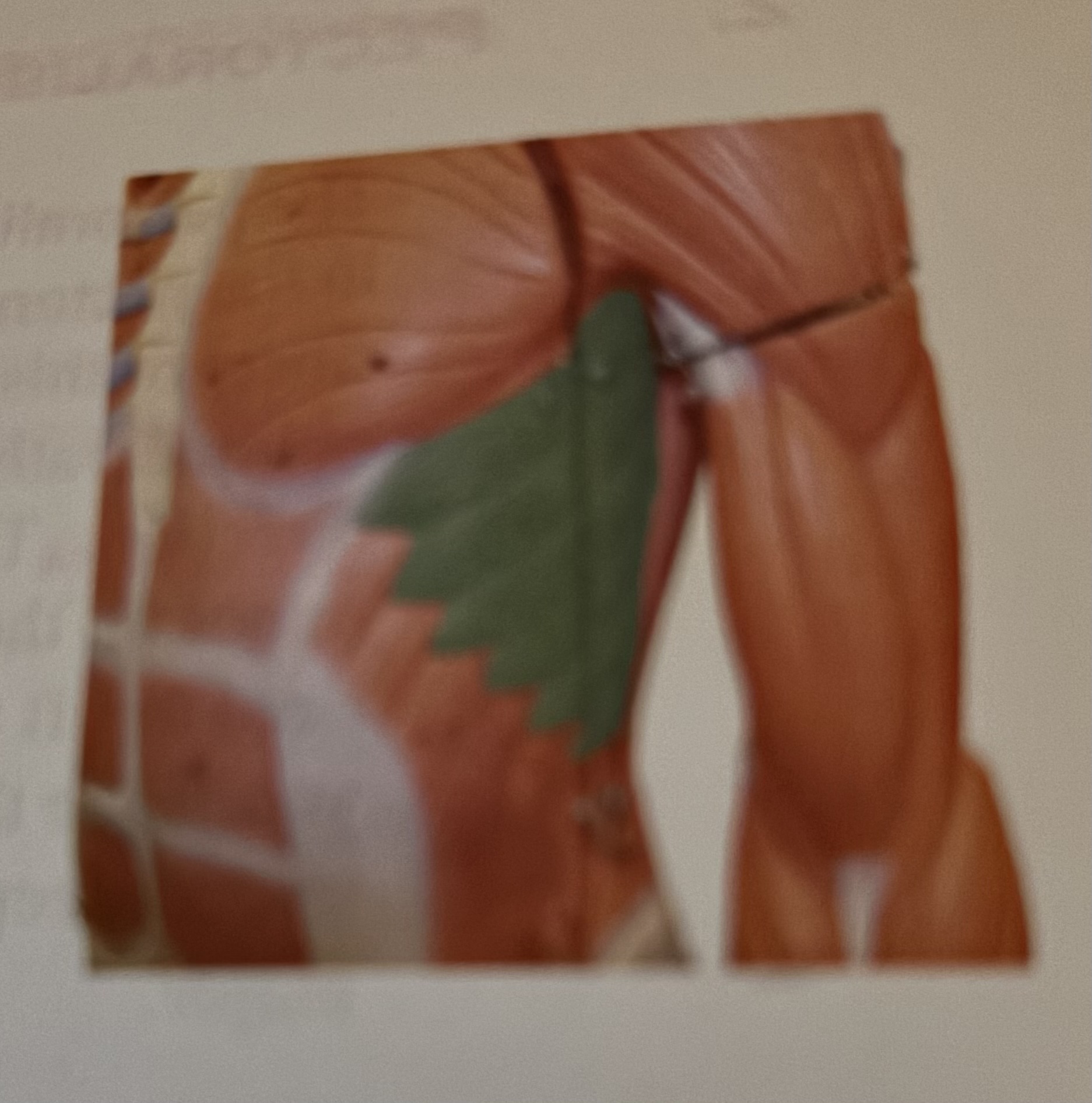 term image