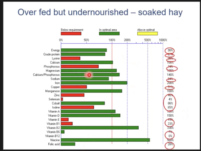 <p>what do these images show</p>