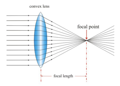 <ul><li><p>causes light rays to converge, or focus</p></li><li><p>The focus is the point where the rays cross</p></li><li><p>The focal length is the distance from the focus to the middle of the lens</p></li></ul>