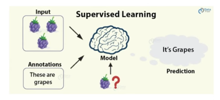 <p>Supervised Learning</p>
