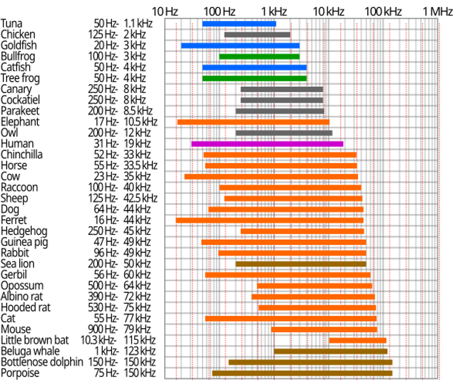 <p>pitch perception</p>