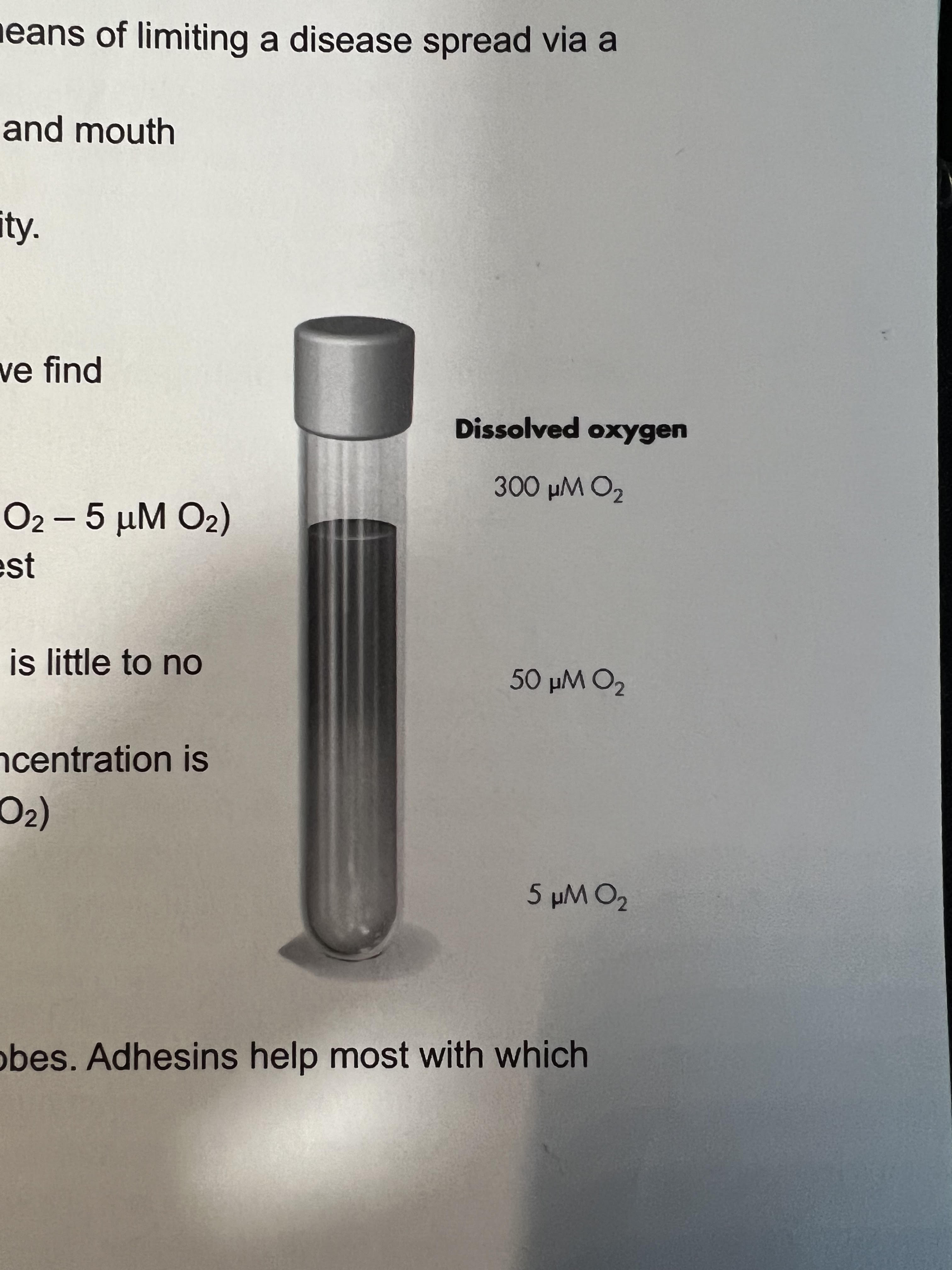 Consider the tube to the right, where might we find facultative anaerobes growing?