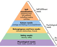 <p><span>Emphasizes an individual's motivation in the continuous quest for self-actualization. The lower needs requiring fulfillment before those at higher levels can be achieved, with self-actualization being fulfillment of one's highest potential.</span></p>