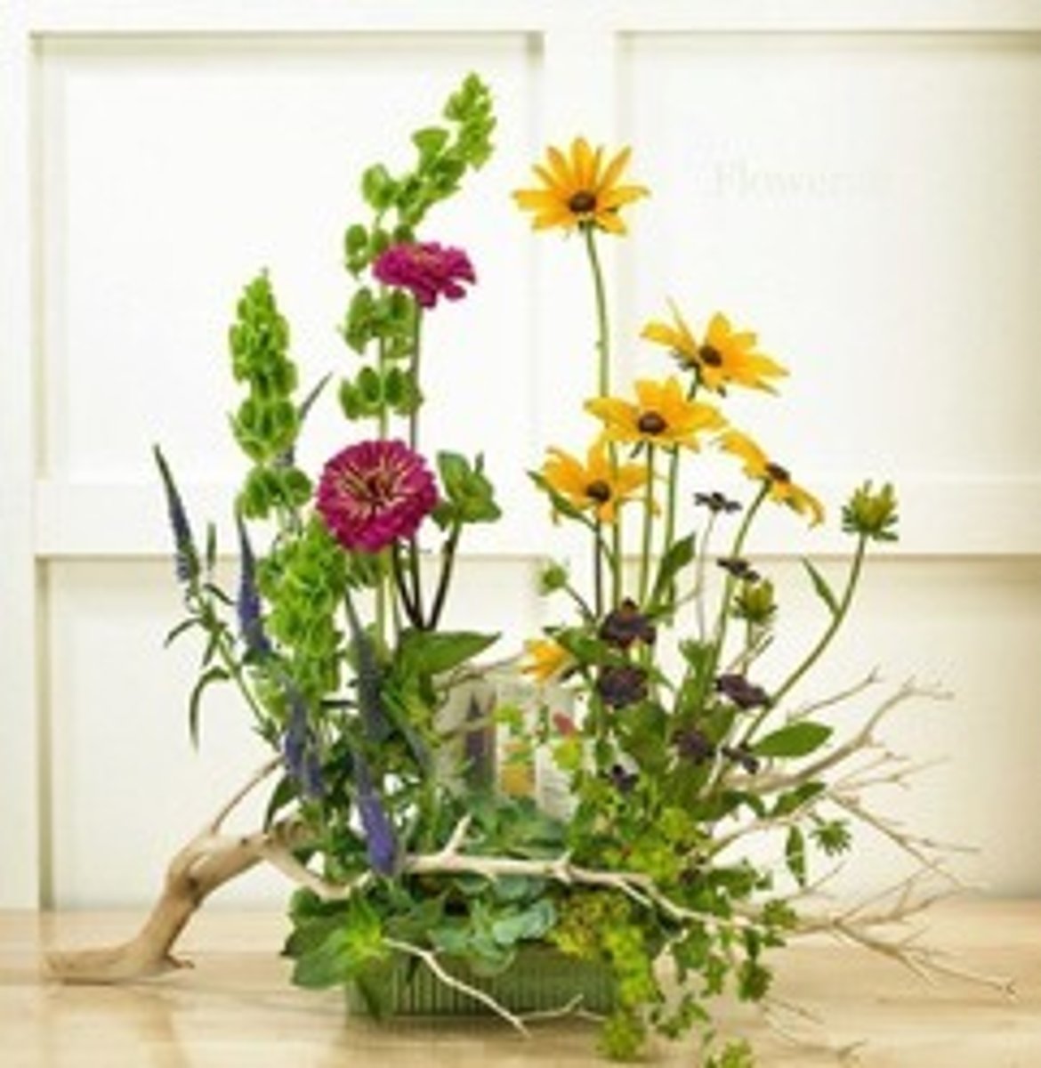 <p>vegetative design</p>