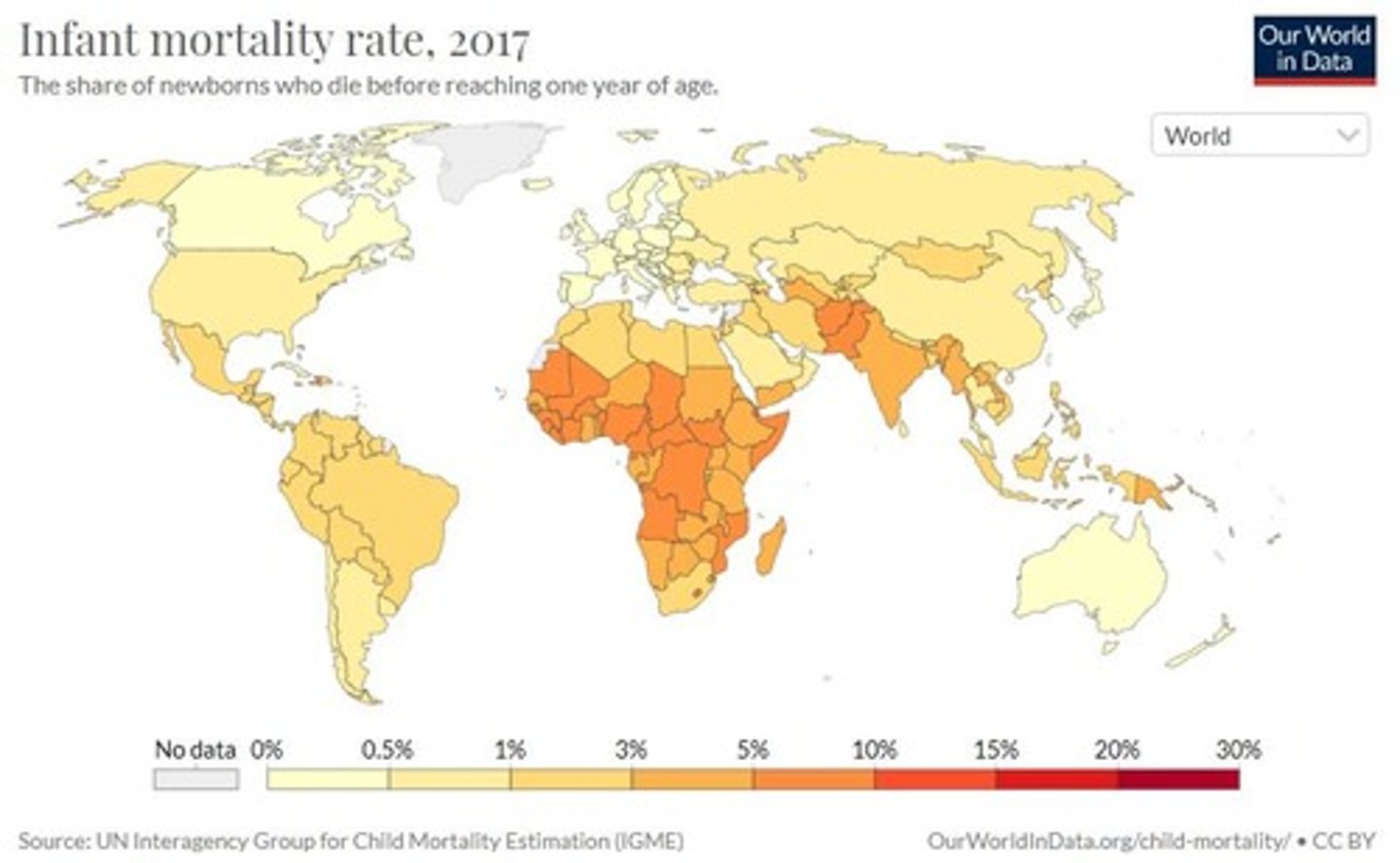 <p>The number of children who die before one year of age.</p>