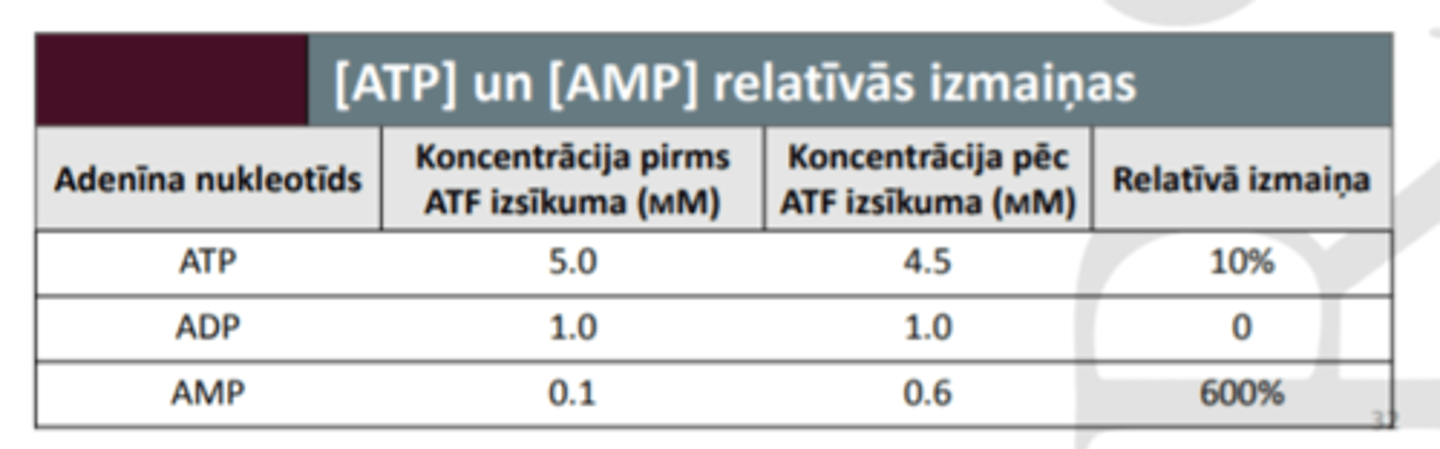 <p>= tie ir vieni no svarīgākajiem metabolisma regulatoriem šūnā</p><p>10% [ATF] samazinājums būtiski ietekmē ATF atkarīgo enzīmu aktivitāti.</p><p>10% [ATF] samazinājums krasi paaugstina [AMF]. AMF ir spēcīgāks allosteriskais regulators</p>