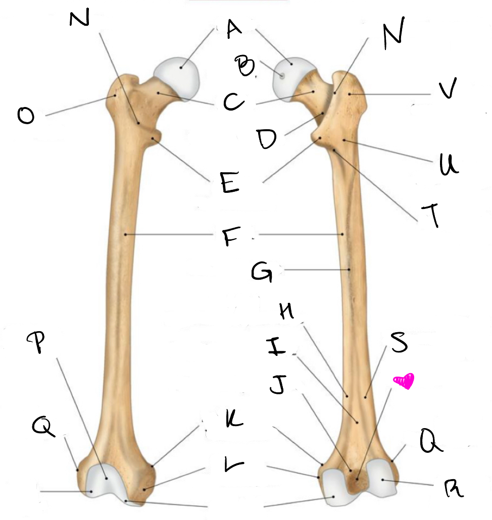 <p>What is the pink heart?</p>