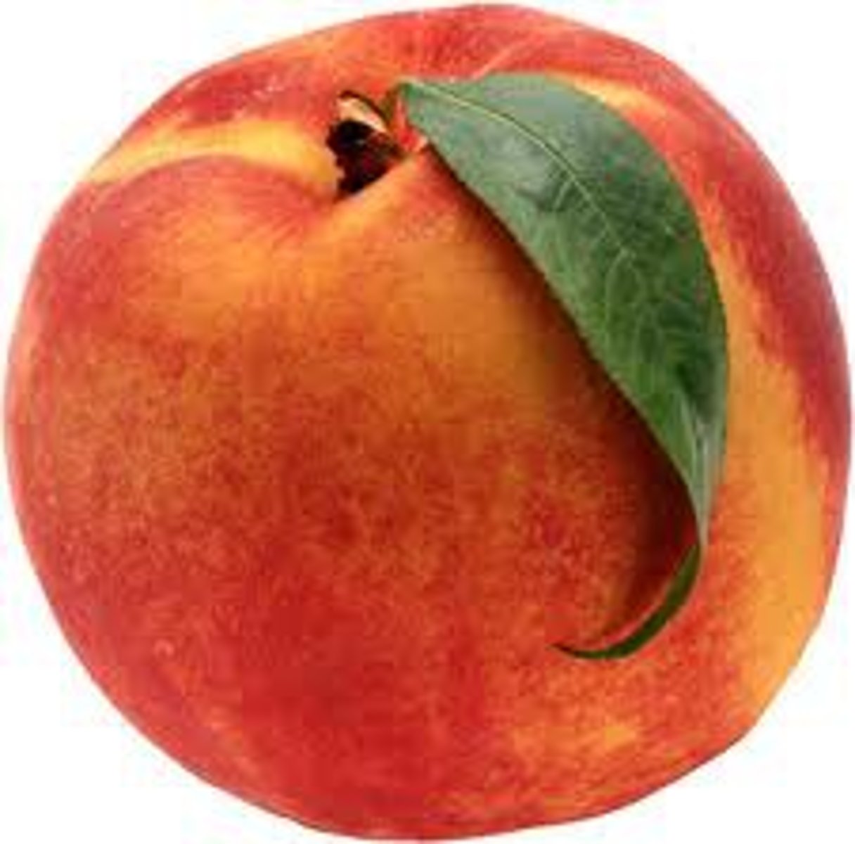 <p>peach</p>