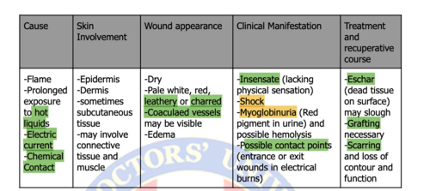 <p>Full-Thickness Burns</p>