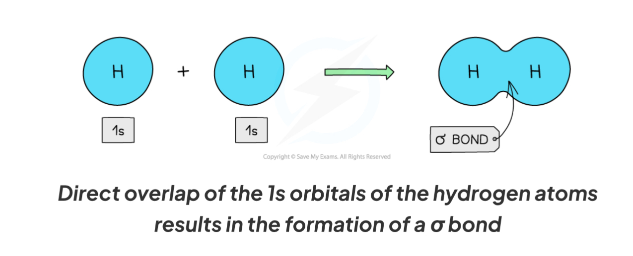 <p>S orbitals of 2 H atoms overlap to form a sigma bond</p>