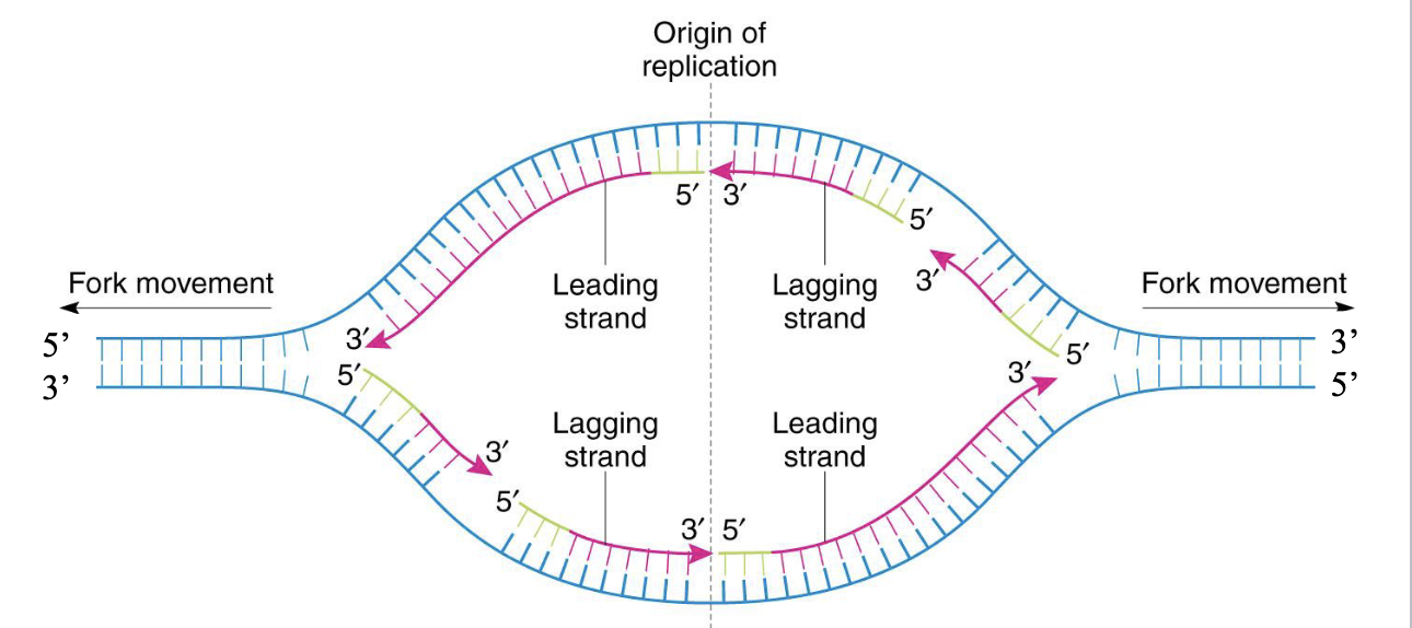 <p>bidirectional</p>