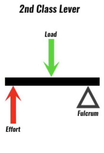 <p>example wheelbarrow or tricep dip</p>