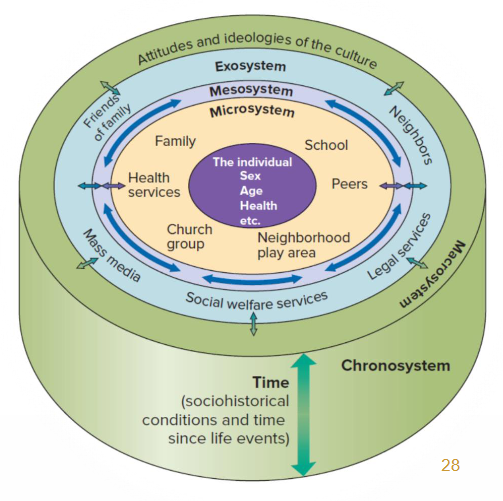 <p>There are 5 environmental systems in which a child is surrounded by:</p><ol><li><p><strong>Microsystem </strong>(direct surrounding of child; ex. parents, peers, school).</p></li><li><p><strong>Mesosystem </strong>(the interaction between microsystem and macrosystem).</p></li><li><p><strong>Exosystem </strong>(indirect influence on the child; ex. job of parents, social welfare services). </p></li><li><p><strong>Macrosystem </strong>(attitudes and ideologies of the culture). </p></li><li><p><strong>Chronosystem </strong>(sociohistorical conditions and time since life events). </p></li></ol><p></p><p>Development reflects influence of systems: </p><ul><li><p>Complex: contextual effects at any level</p></li></ul><p></p>