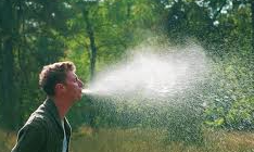 <p>You say you have beliefs, but by what you've done, you’ve just …them!<br><br>(<span><strong>show disrespect or contempt for someone or something</strong></span>)</p>