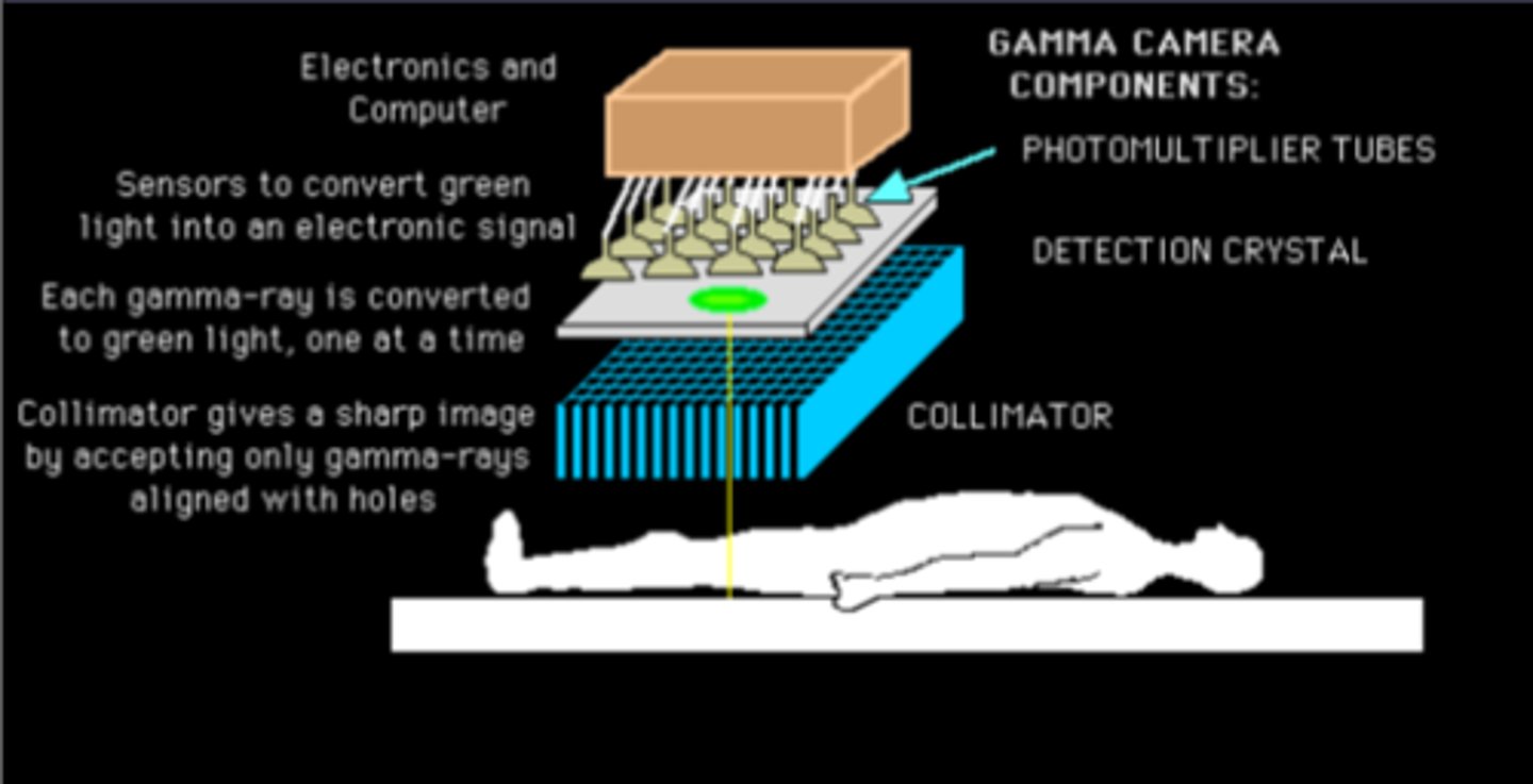<p>1. Photomultiplier tubes</p><p>2. Scintillation crystals</p><p>3. Collimator</p>