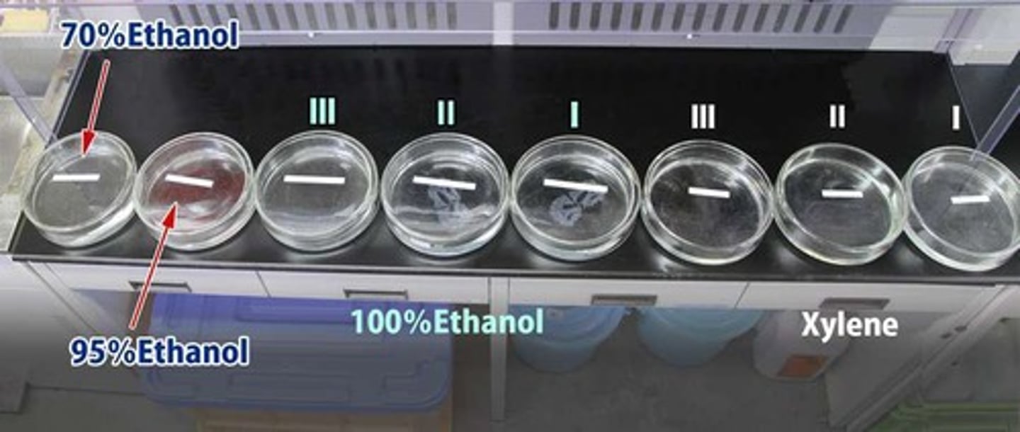 <p>Used in dehydration and rehydration steps.</p>