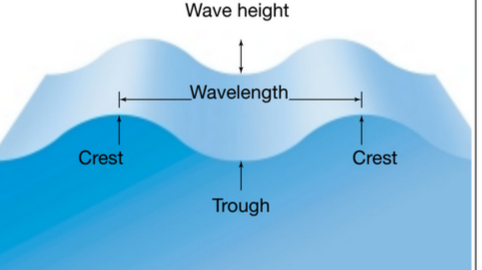 term image