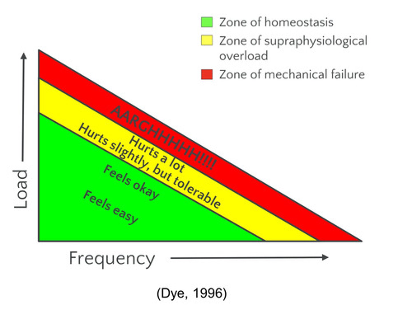 <p>load: force imparted onto body (ie. LB, KG, or N)</p><p>frequency: cycles and/or duration (ie. sets, reps, seconds, or hours)</p><p>symptoms result from the interplay of load and frequency</p>