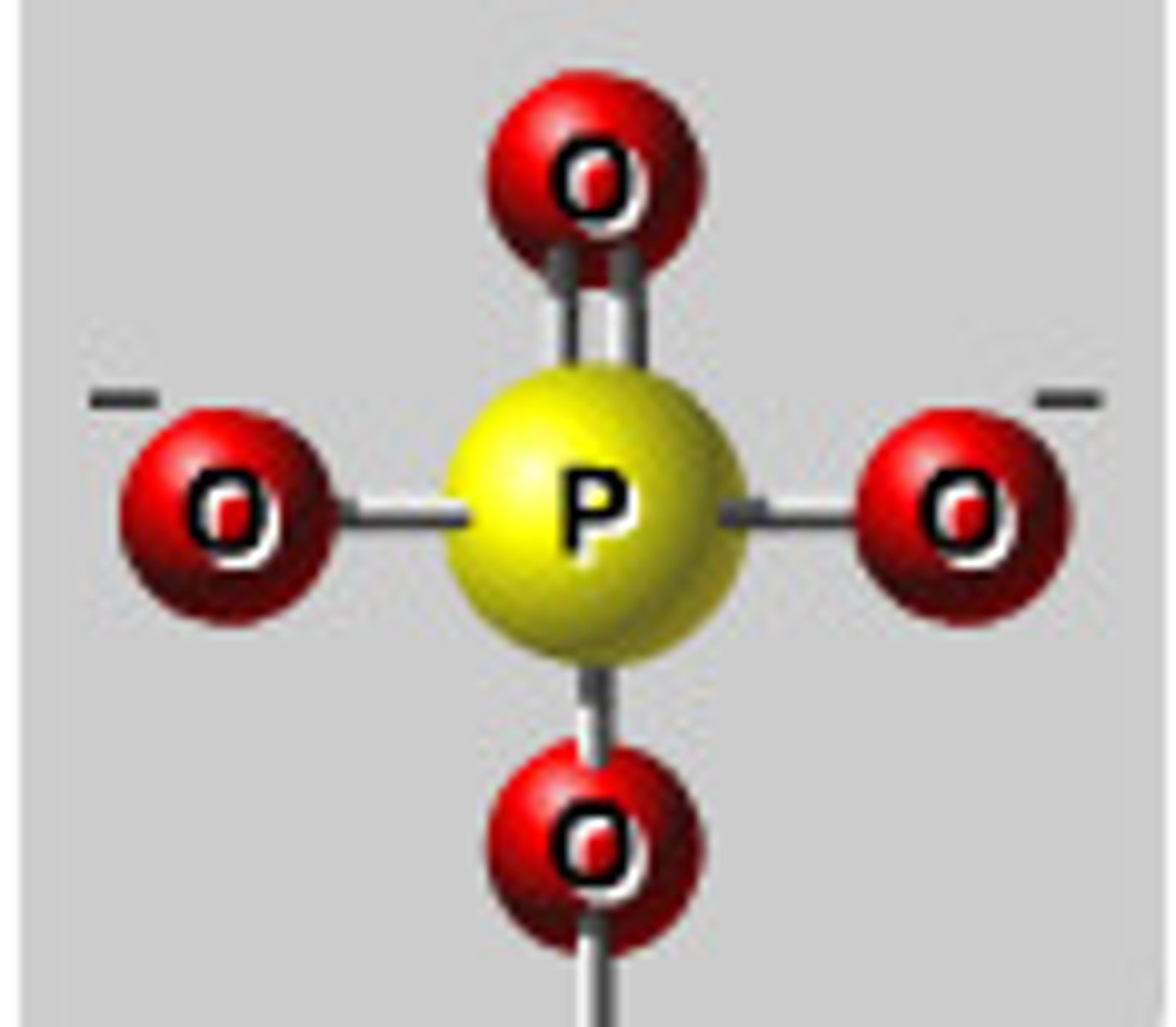 <p>molecule (not sugar) that makes up part of the backbone of DNA</p>