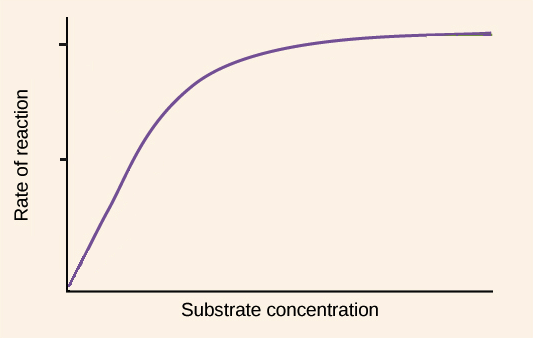 <p>Substrate Graph</p>