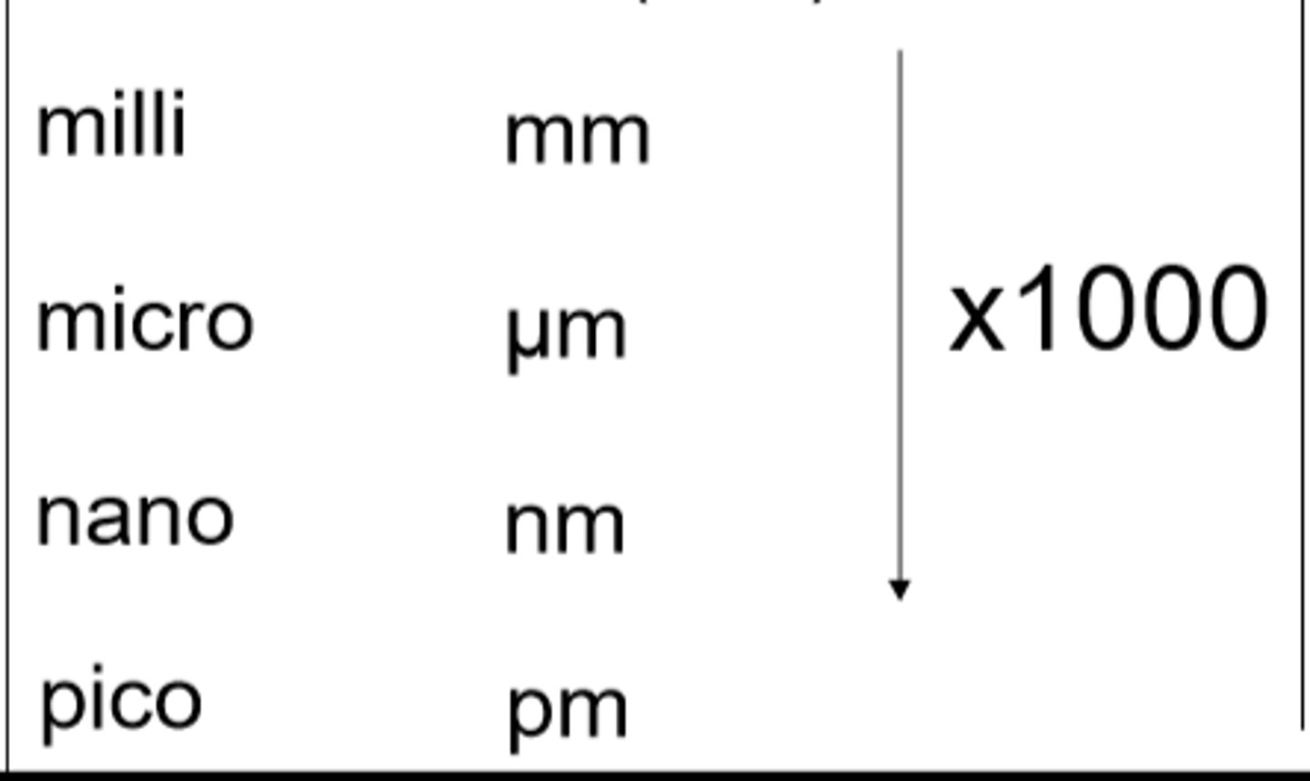 <p>x1000</p>